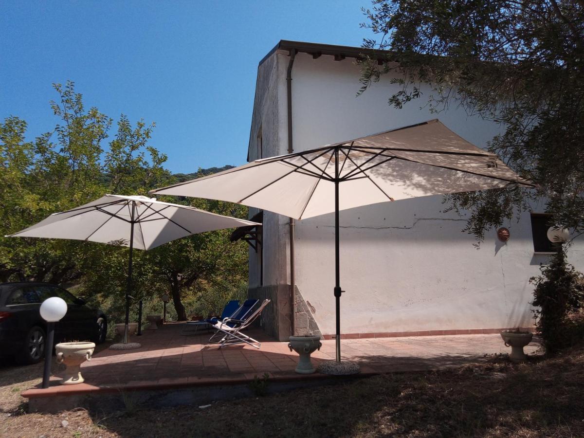 L'Antica Quercia B&B Castell'Umberto Exterior photo