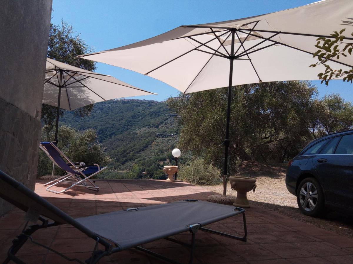 L'Antica Quercia B&B Castell'Umberto Exterior photo