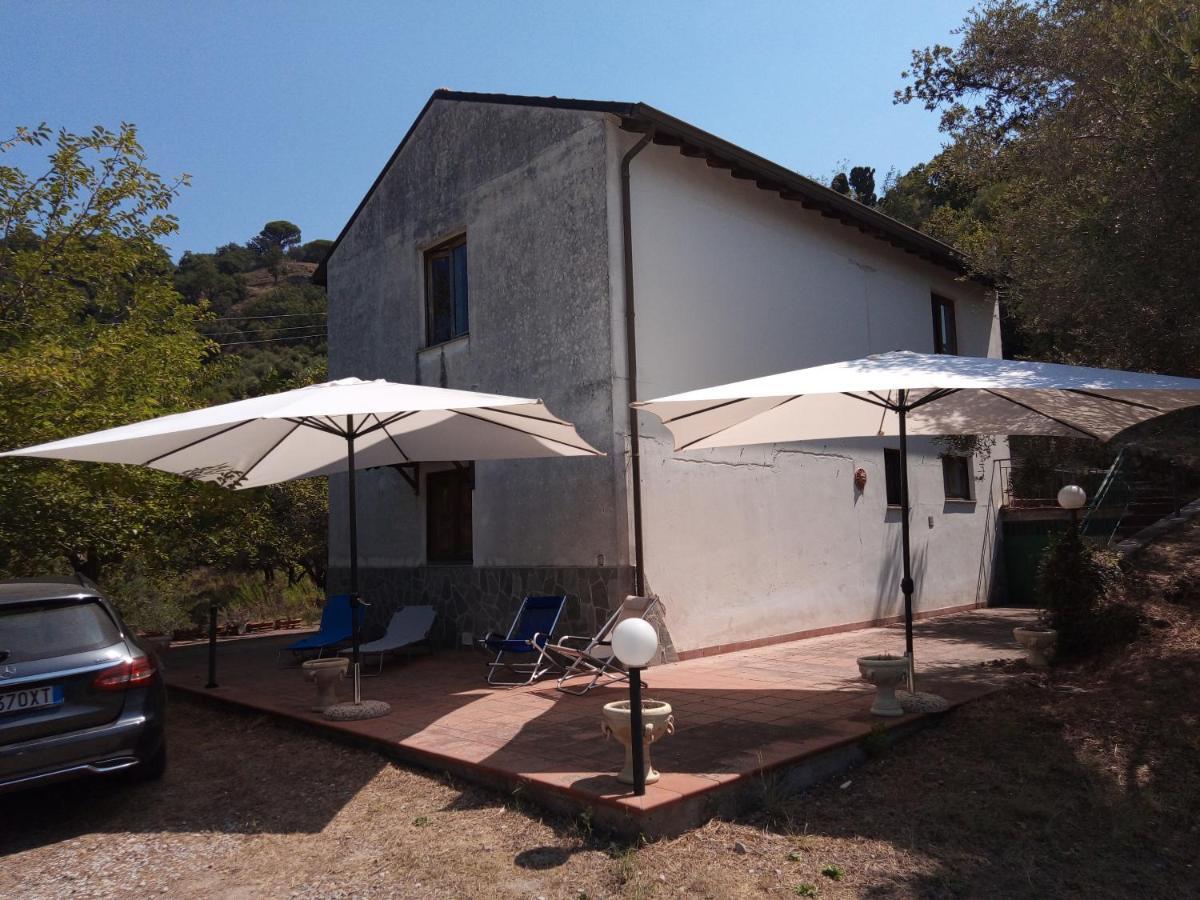 L'Antica Quercia B&B Castell'Umberto Exterior photo