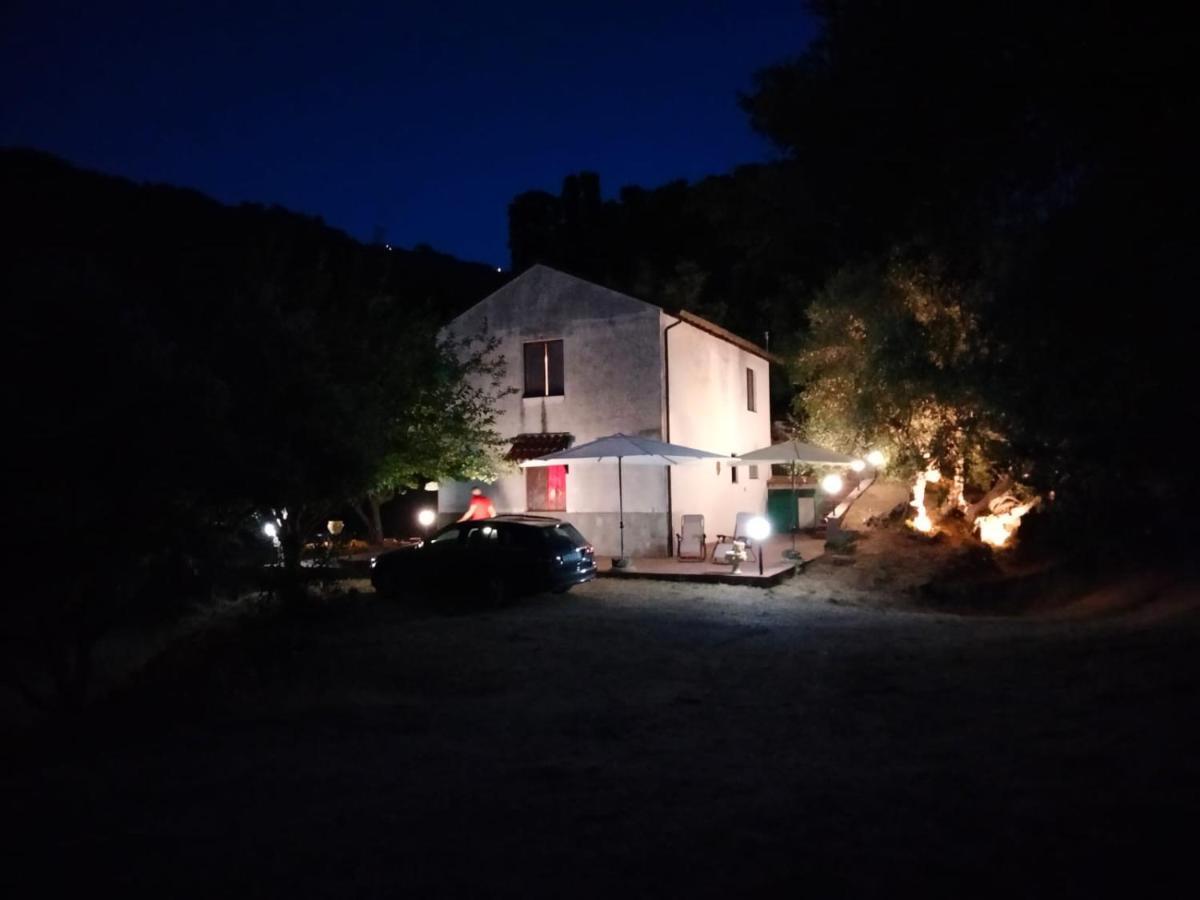 L'Antica Quercia B&B Castell'Umberto Exterior photo