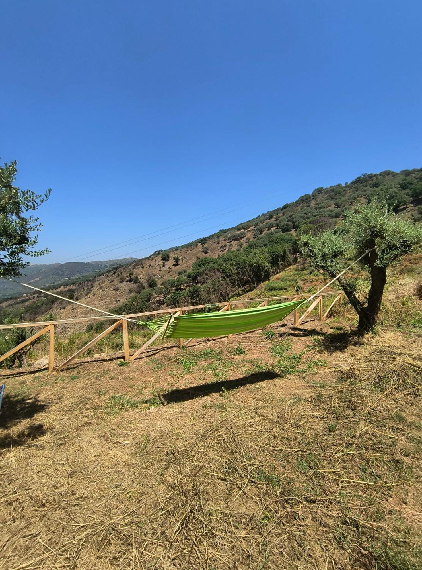 L'Antica Quercia B&B Castell'Umberto Exterior photo